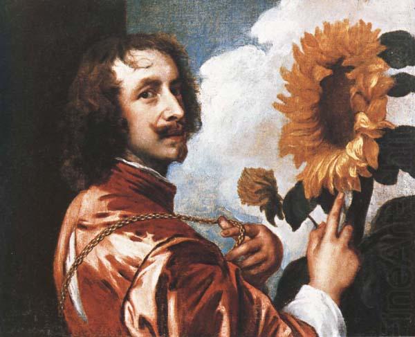 Self-Portrait with a Sunflower, Anthony Van Dyck
